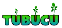Tubucu