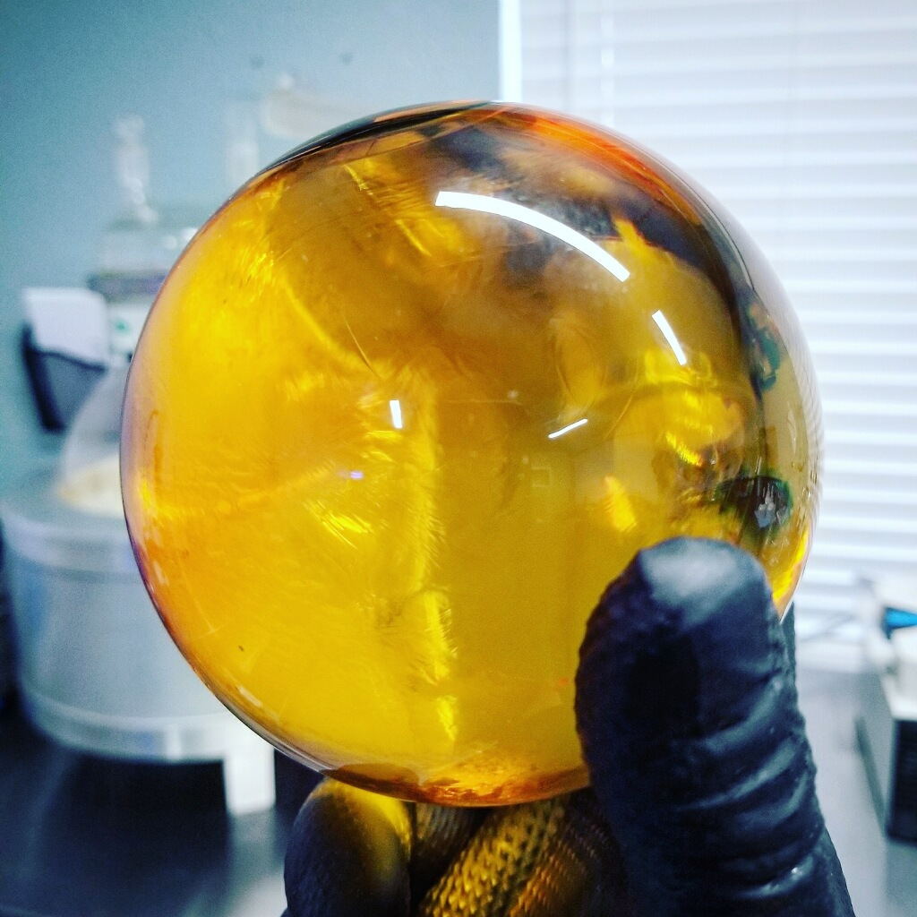A gloved hand holding up a large amber slab of CO2-extracted hemp oil to the light.
