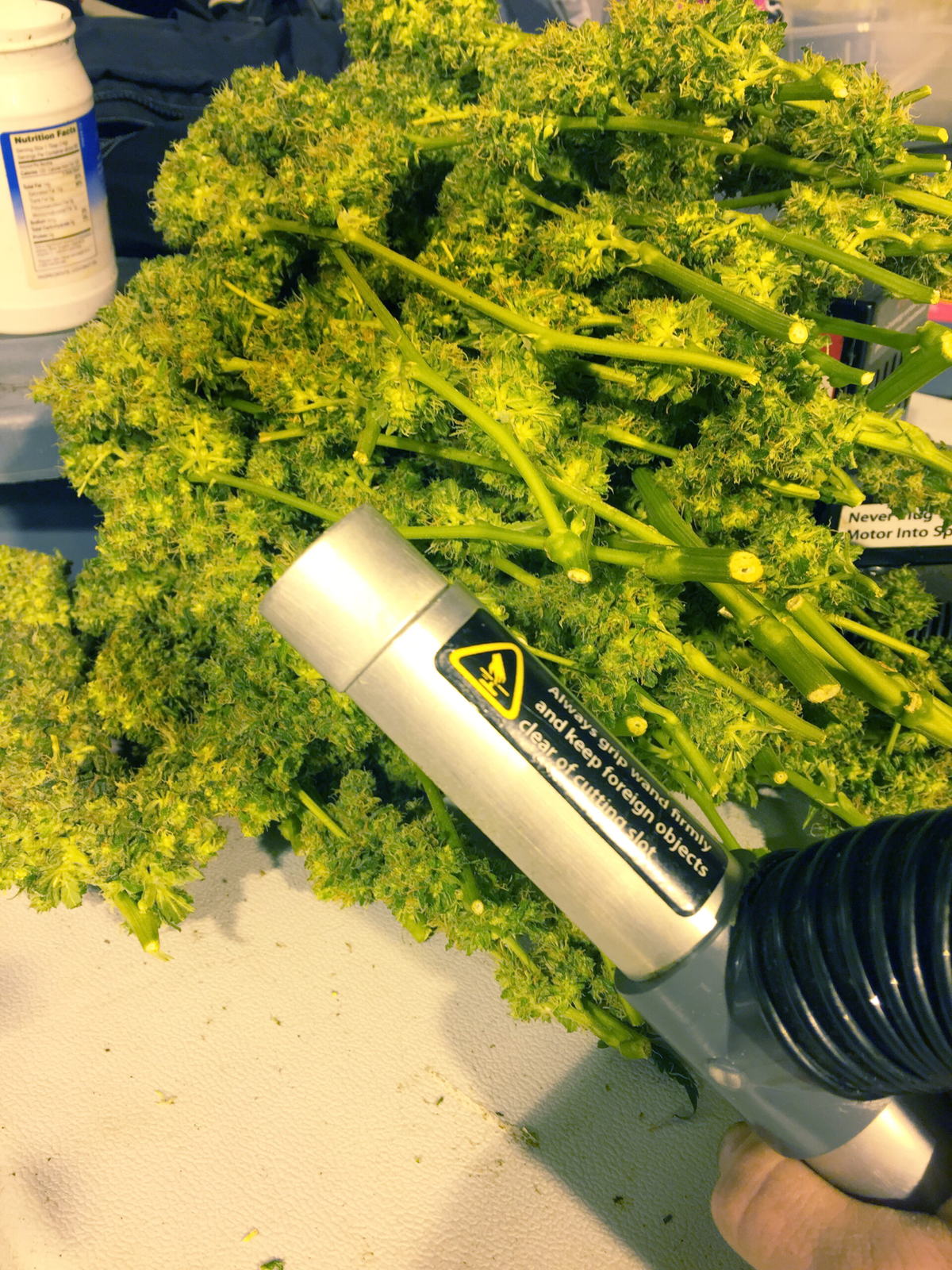 Freshly machine-trimmed buds heaped around the nozzle of the trimmer wand.