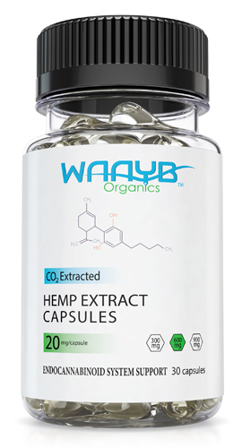 A bottle of Waayb Organics 600 mg hemp extract capsules.