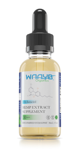 A dropper bottle of Waayb Organics 900 mg mint hemp extract supplement.