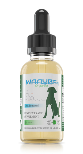 A dropper bottle of Waayb Organics 300 mg hemp extract supplement for pets.