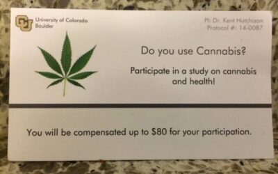 CU Boulder Cannabis Research
